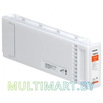 Картридж Epson C13T891800